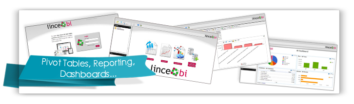 Lince Bi. Business Intelligence in the cloud
