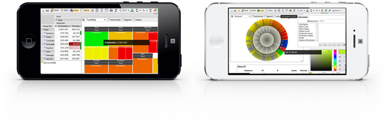 Visualización Cuadro de Mando Business Intelligence en versión Mobile